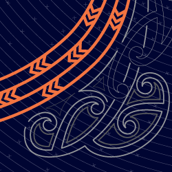 Report: Digital inclusion user insights — Māori