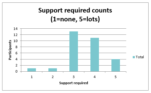 Bar chart showing how much support participants said they need to implement the Standard. 