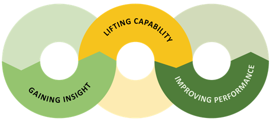 3 linked circles - Gaining Insight, Lifting Capability and Improving Performance