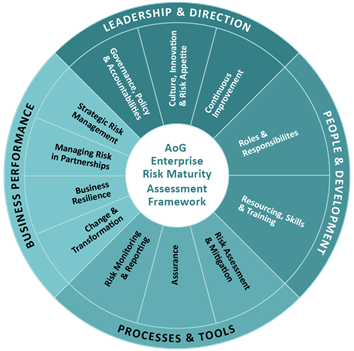 What good looks like: Risk management — Audit New Zealand