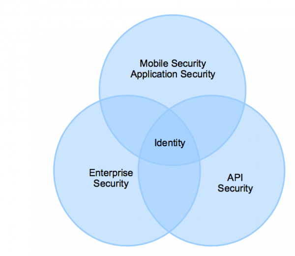 A Venn diagram with 3 circles: mobile security and application security, API security, enterprise security, that intersect at identity.